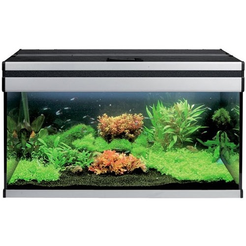  Aquael AluDekor 100 - современный аквариум для дома.