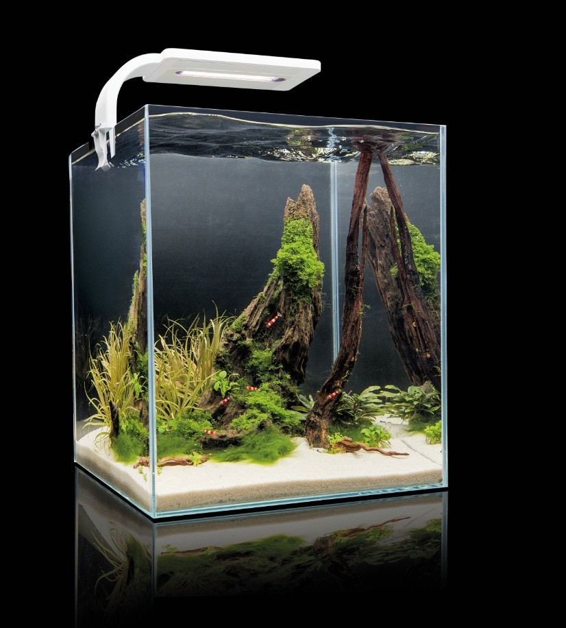 Aquael Shrimp Set Smart Plant 10 Black